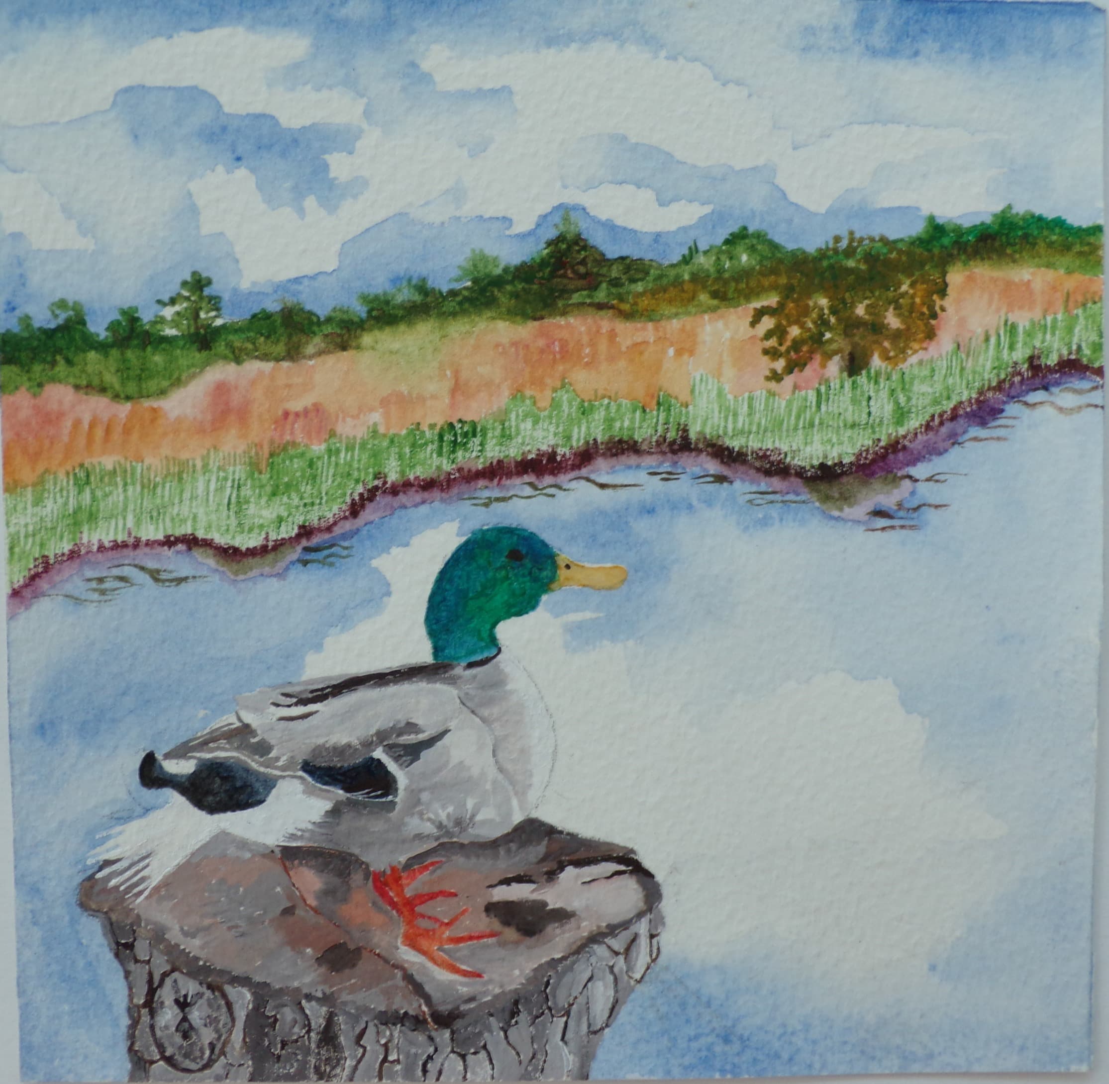 Duck 2, gouache, 6 × 6 in