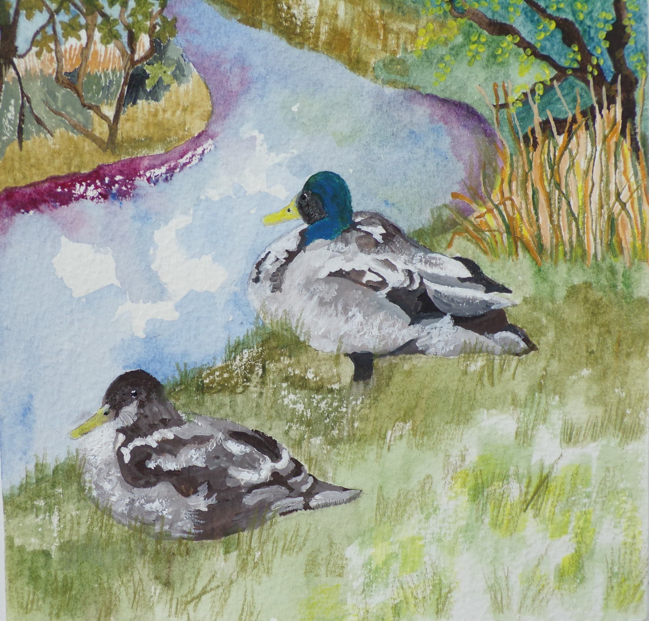 Ducks 3, gouache, 6 × 6 in