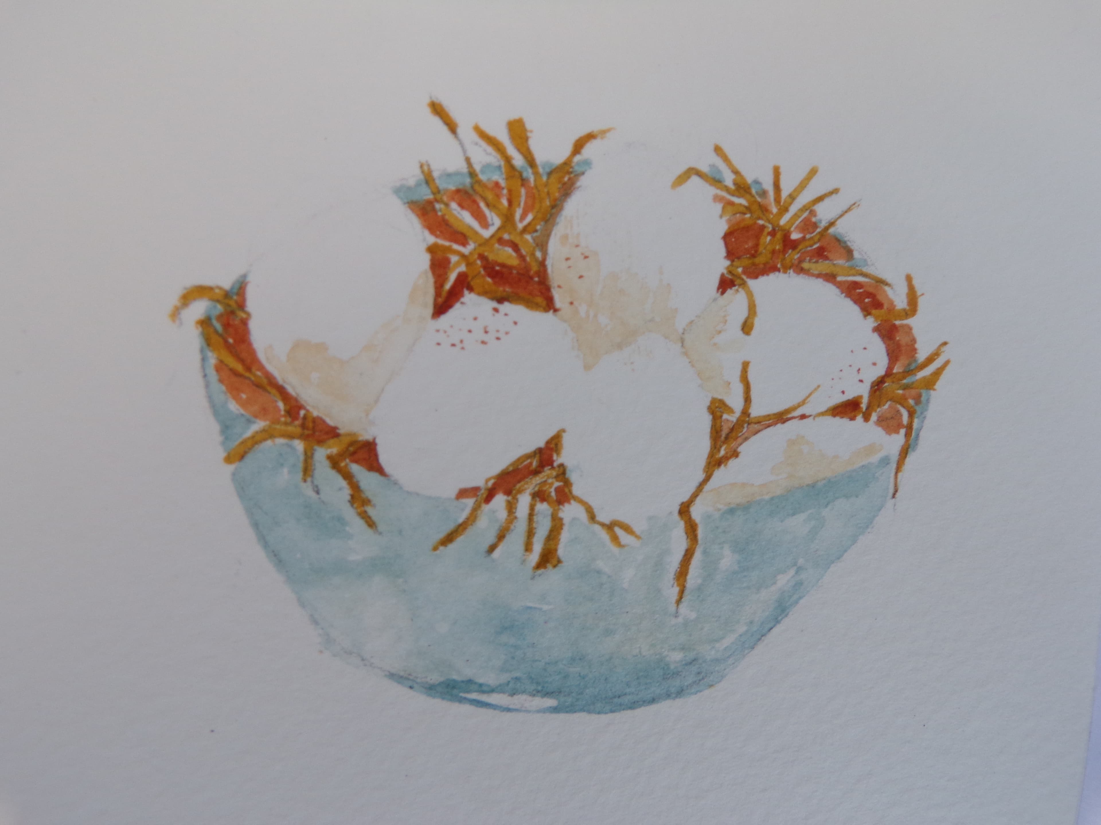 Eggs In One Basket, watercolour, Watercolour