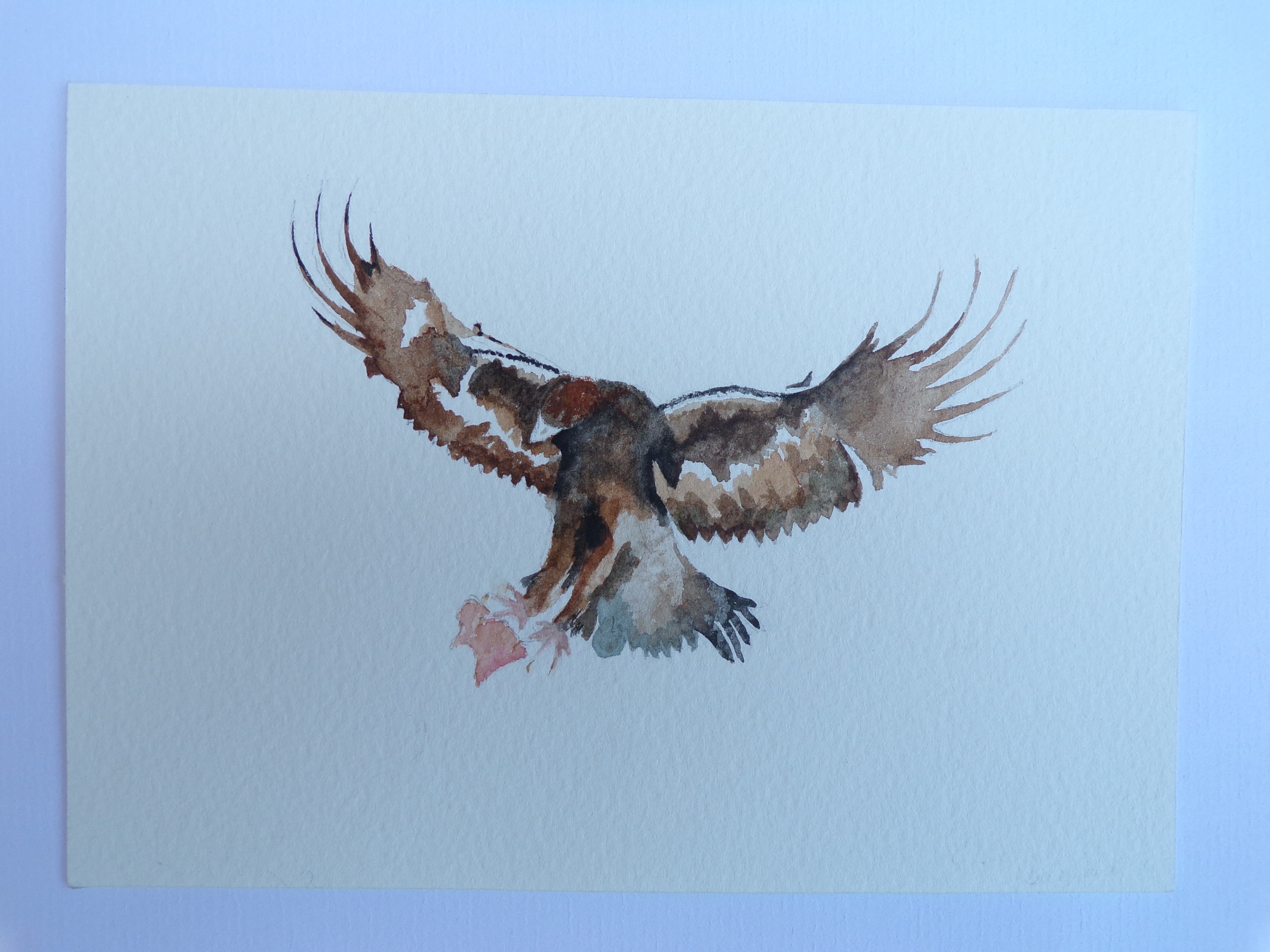 Prey, watercolour, Watercolour